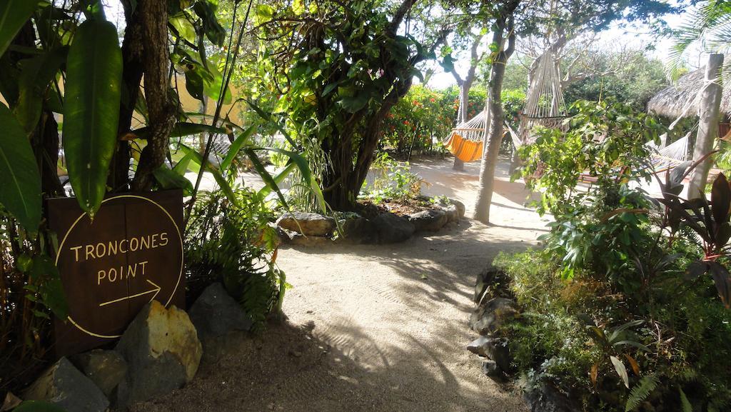 Troncones Point Hostel Εξωτερικό φωτογραφία